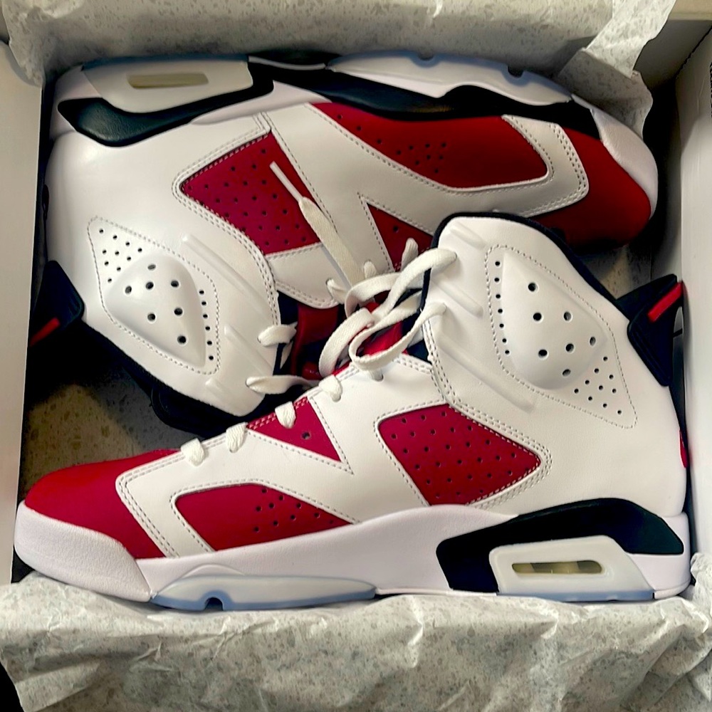 Jordan 6 Carmine 10.5 DS